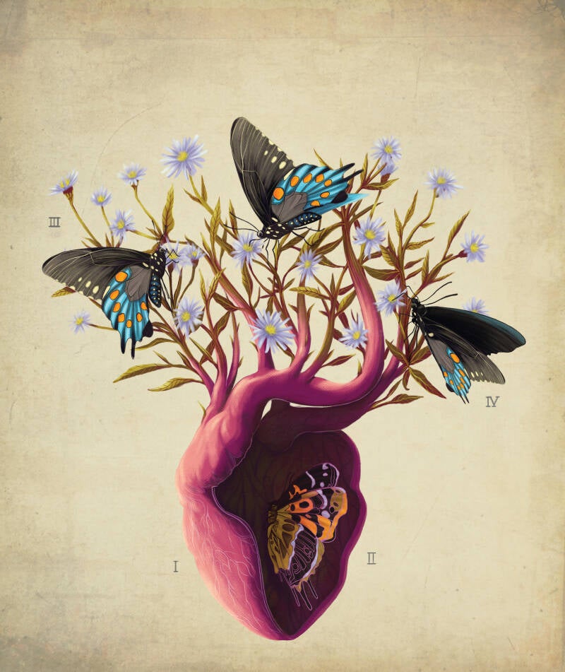 Cover / The mystery of self / Volzin Magazine