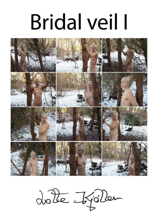 Plakat / Poaster. Brudeslør 1 / Bridal Veil 1. De luxe Photo Poem. A2. 3000 DKK