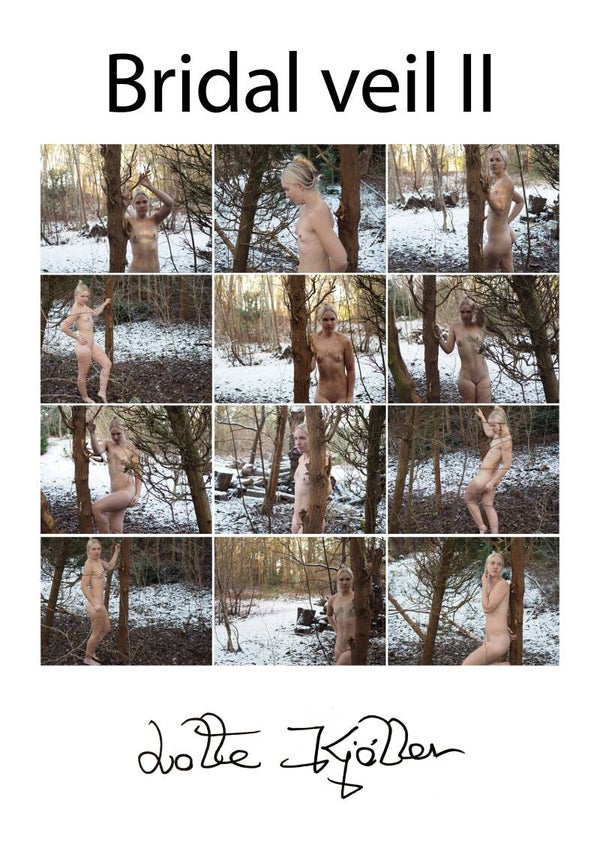 Plakat / Poaster. brudeslør 2 / Bridal Veil 2. De luxe Photo Poem. A2. 3000 DKK