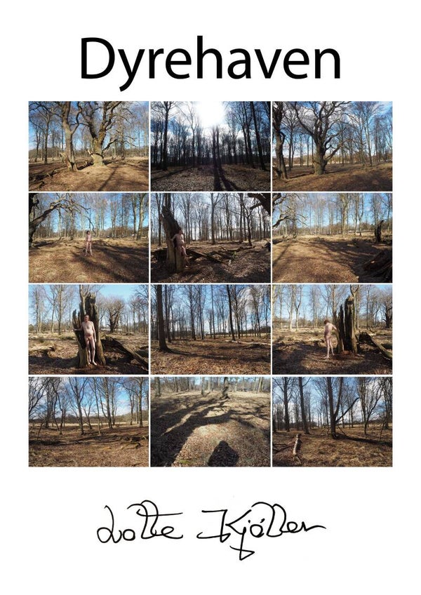 Plakat / Poaster. Dyrehaven Forest. De luxe Photo Poem. A2. 3000 DKK