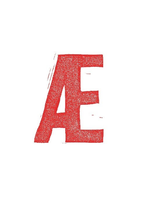 Book. Æ - en dansk digtantologi af Jørn Ingemann Knudsen. Det Poetiske Bureaus forlag. med de ypperste danske digtere og illustratorer. 350 DKK