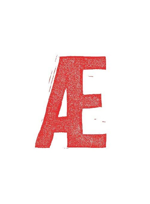 Book. Æ - en dansk digtantologi af Jørn Ingemann Knudsen. Det Poetiske Bureaus forlag. med de ypperste danske digtere og illustratorer. 350 DKK