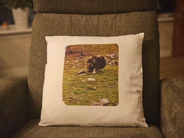 Komplett pute med motiv