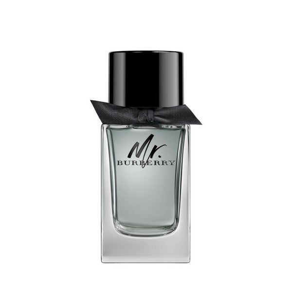 BURBERRY MR EAU DE TOILETTE 100 ML
