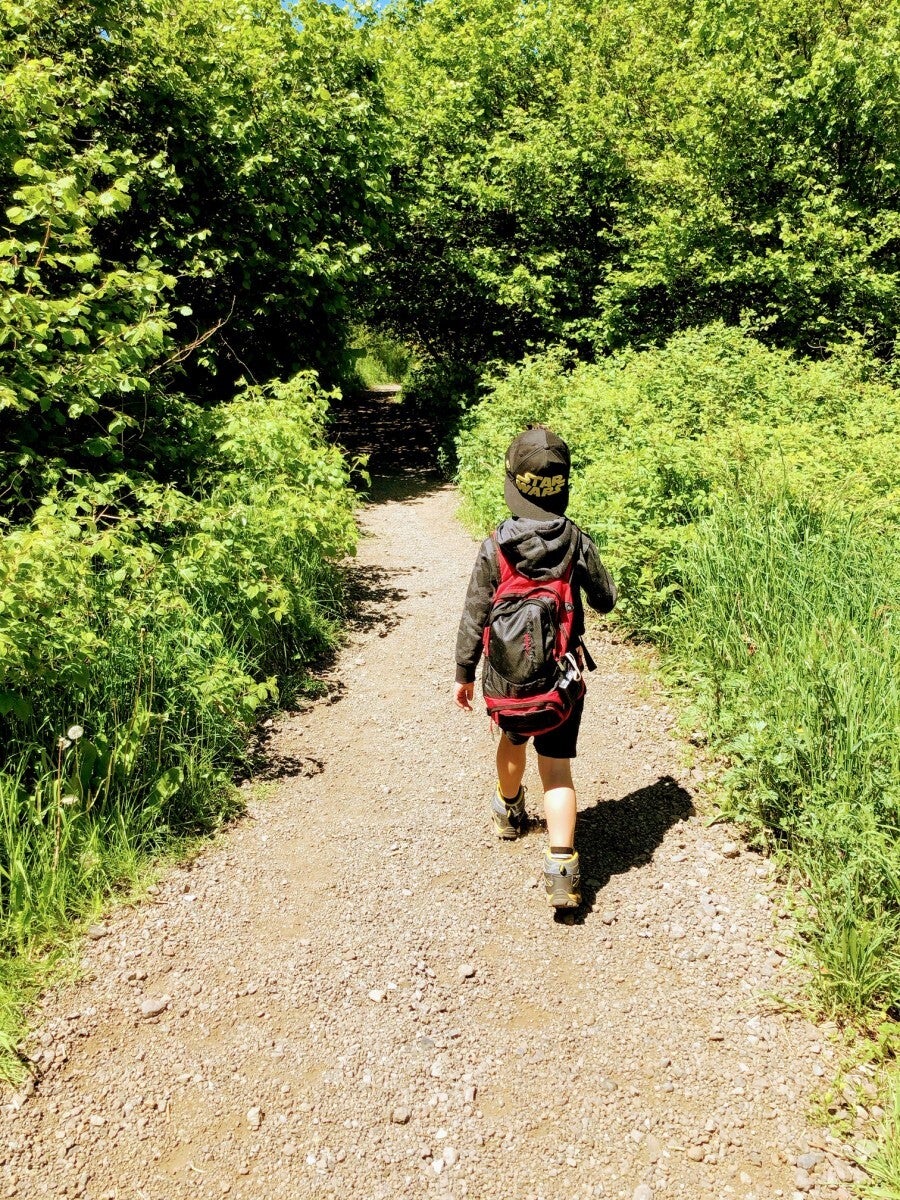 sur le chemin verdoyant du Livradois Forez