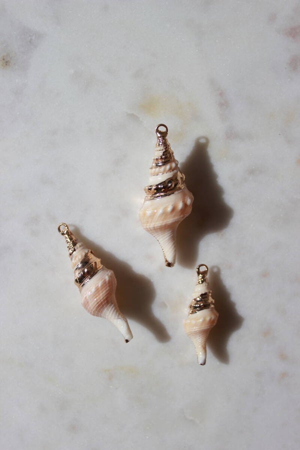 Golden Shell Medium