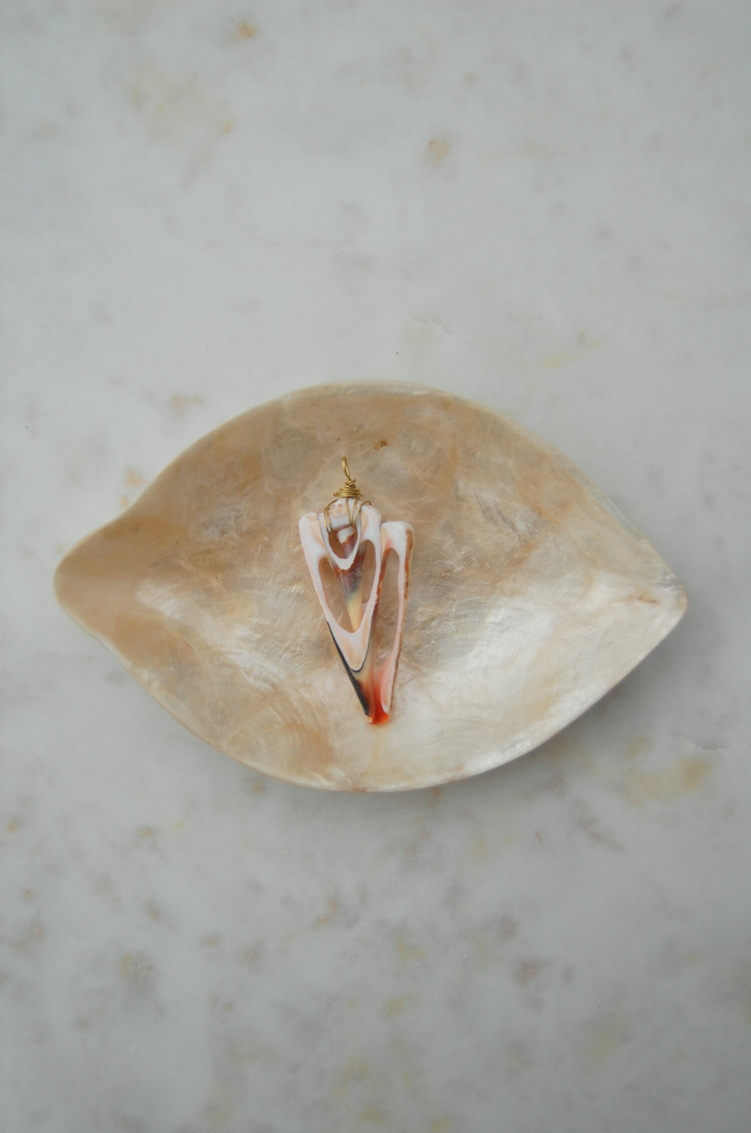 Suet Potong Shell