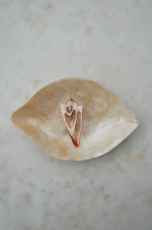 Suet Potong Shell