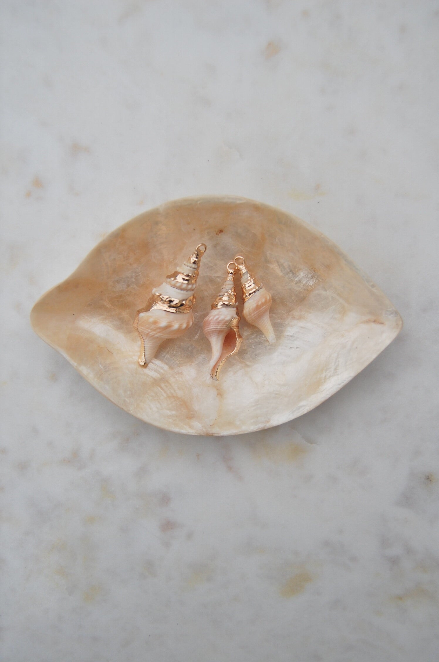 Golden shell