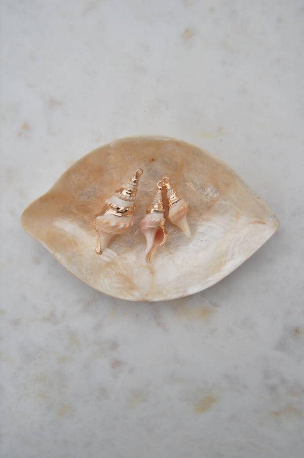 Golden shell