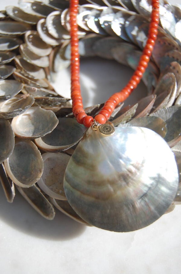 Coral coast