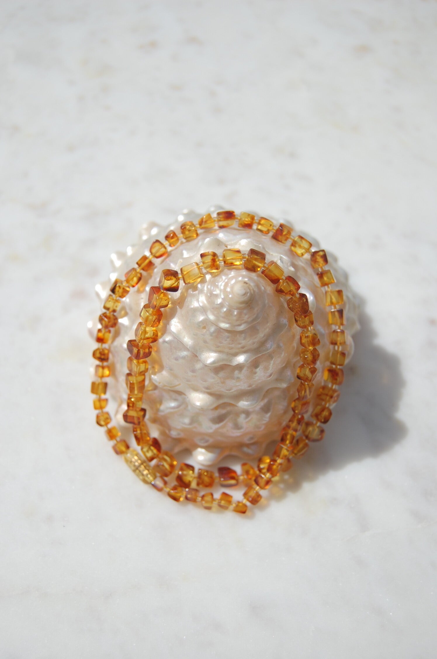 Fossil Gold