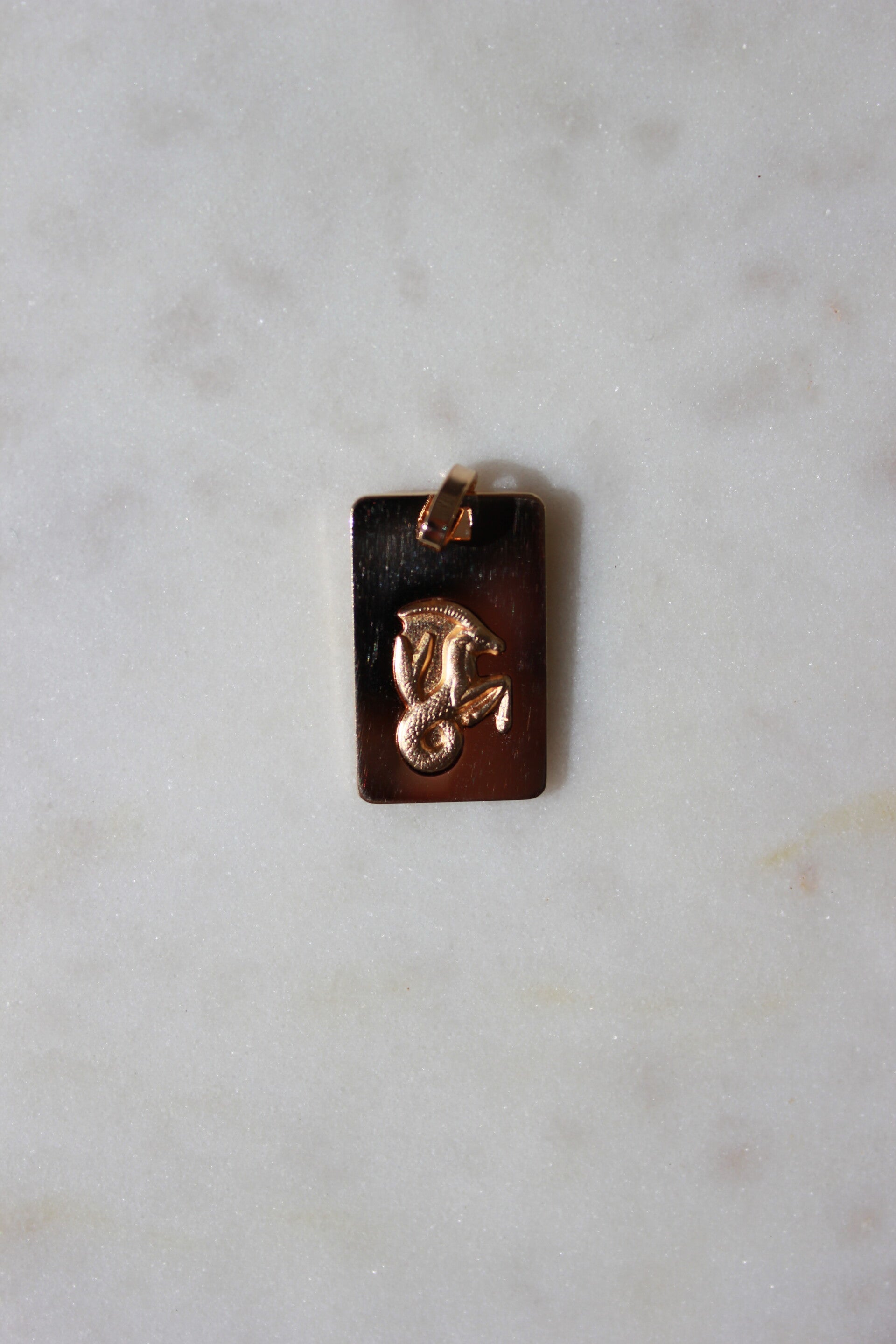 Capricorn rectangle Gold