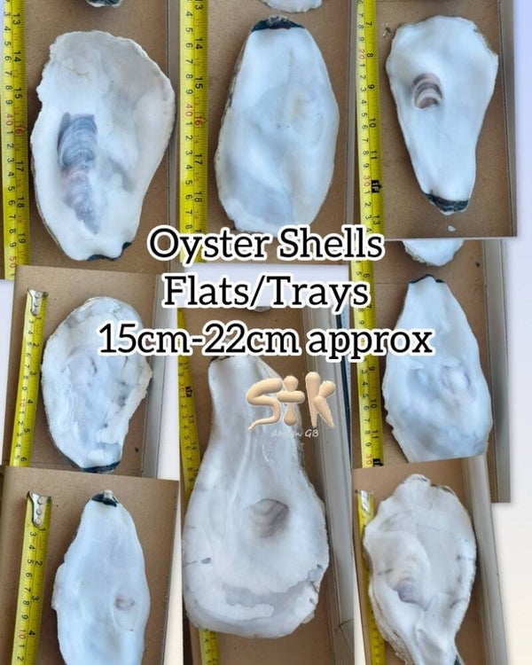 Large Shells