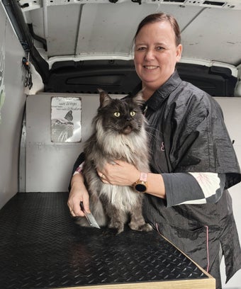 trimbehandeling in de kattentrimbus