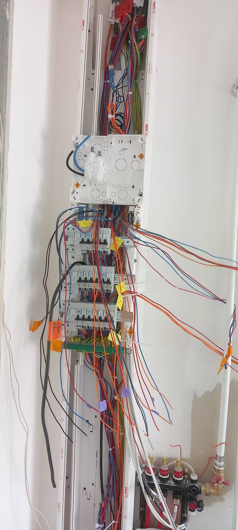 20251016_161058-standard-zagmzo.jpg