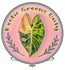 ExoticGreensOnly