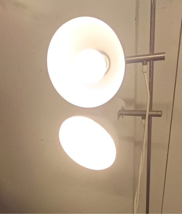 Alte Schöne 2 Flammige Stehlampe