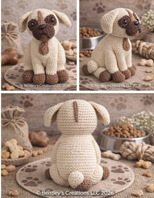 Pug Pup