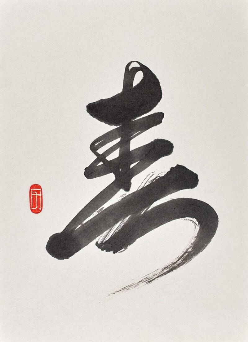 Spring 春 (adopted)