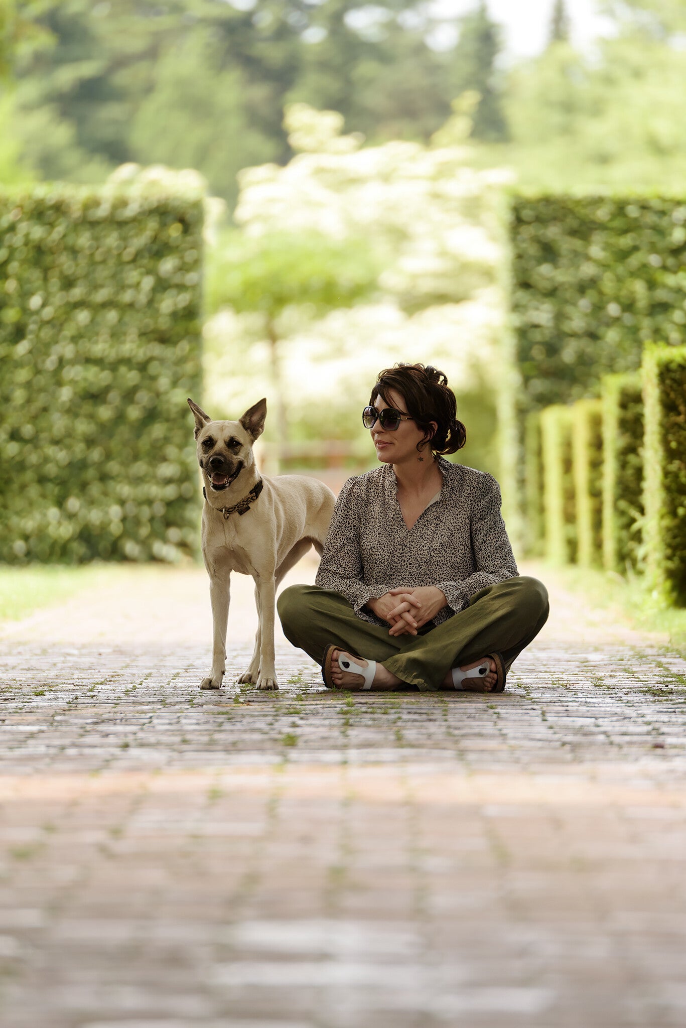 KO|BA Köhncke mit Hund – professionelle Ernährungsberatung für Hunde mit empfindlichem Magen in Oldenburg und Umgebung