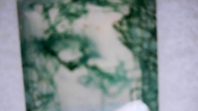 Moss Agate