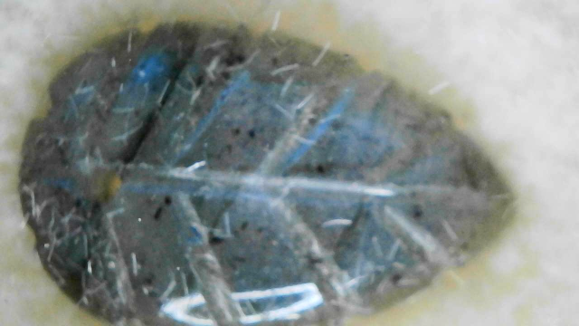 Life Labradorite