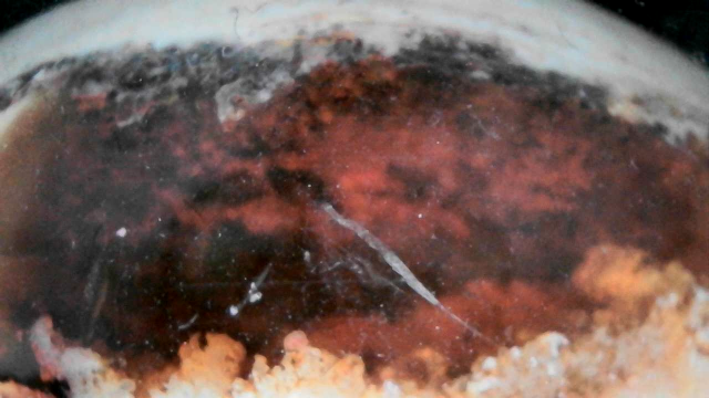 Mexican Fire Opal