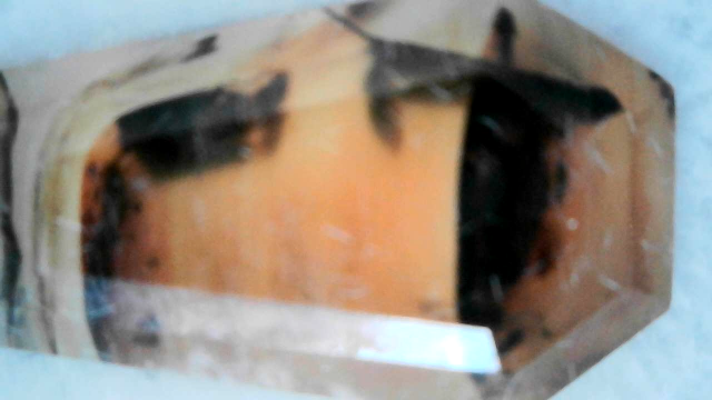 Montana Agate