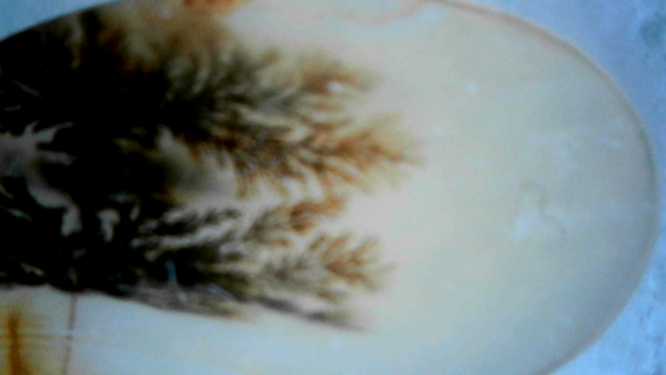 Scenic Agate