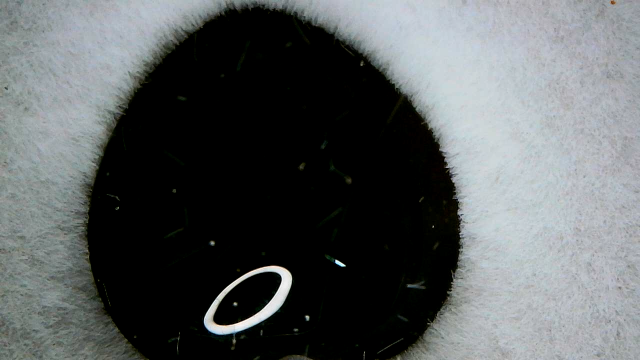 Heart Black Onyx