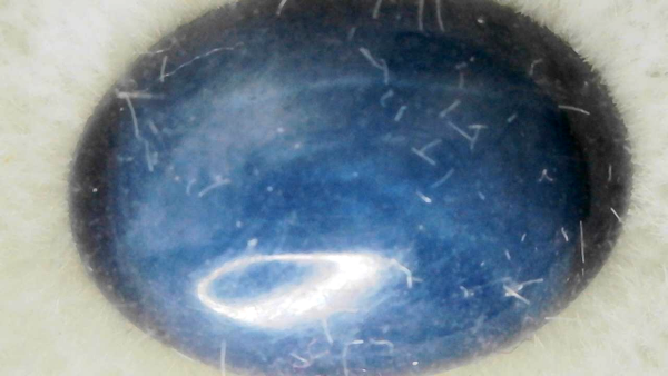 Natural Idaho Star Garnet