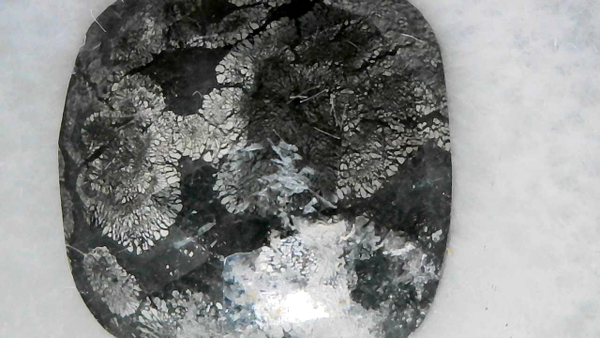 Nipomo Marquesite