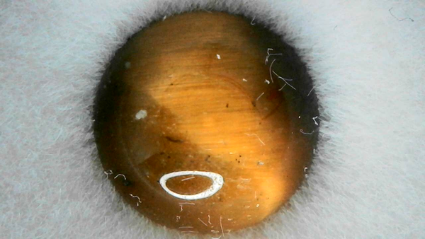 Tigers Eye Quartz