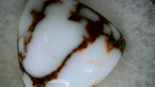 Wild Horse Magnesite