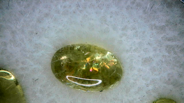 Yellow-Green Tourmaline