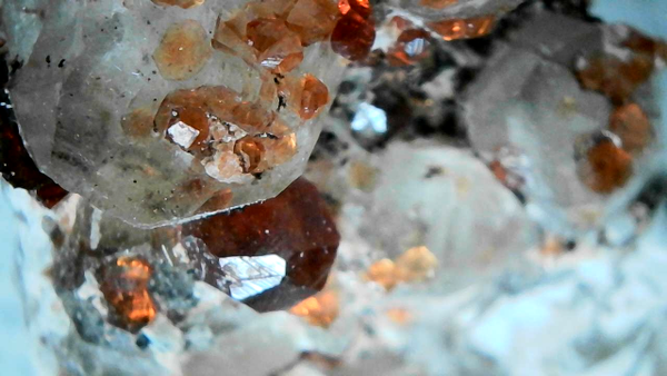 Yunxiao Garnet