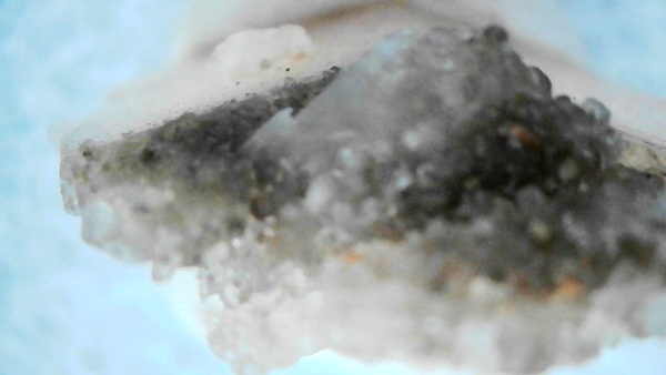 Hourglass Selenite