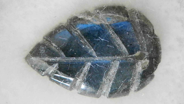 Natural Labradorite Carved Leaf