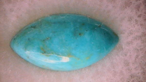 Persian Turguoise