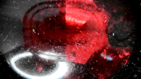 By Color Garnet