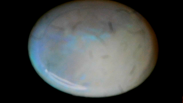 Ethiopian Opal