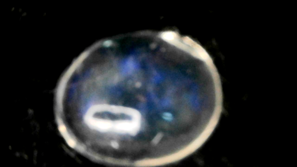 Idaho Opal