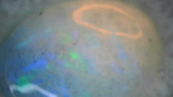 Idaho Opal