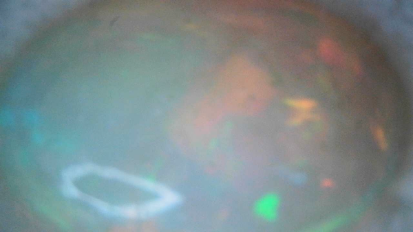 Idaho Opal