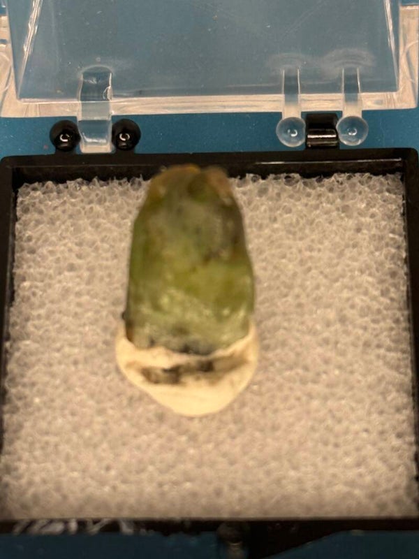 Peridot