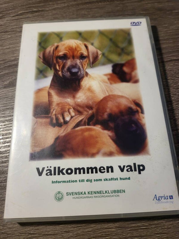 Välkommen valp DVD