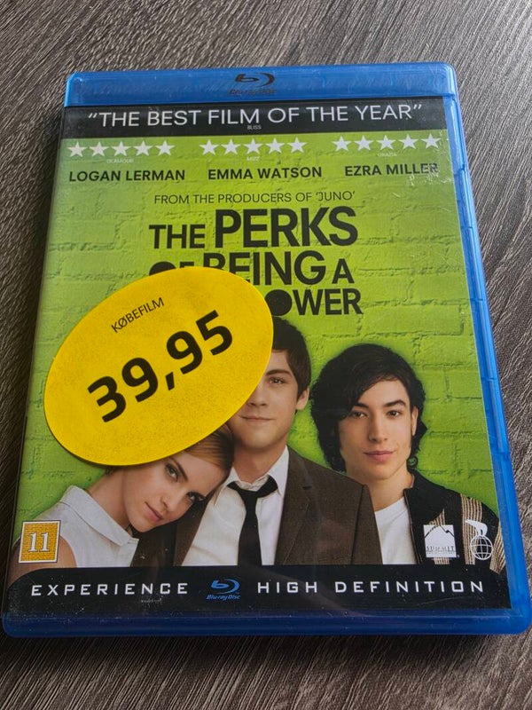 The Perks of Being a Wallflower DVD