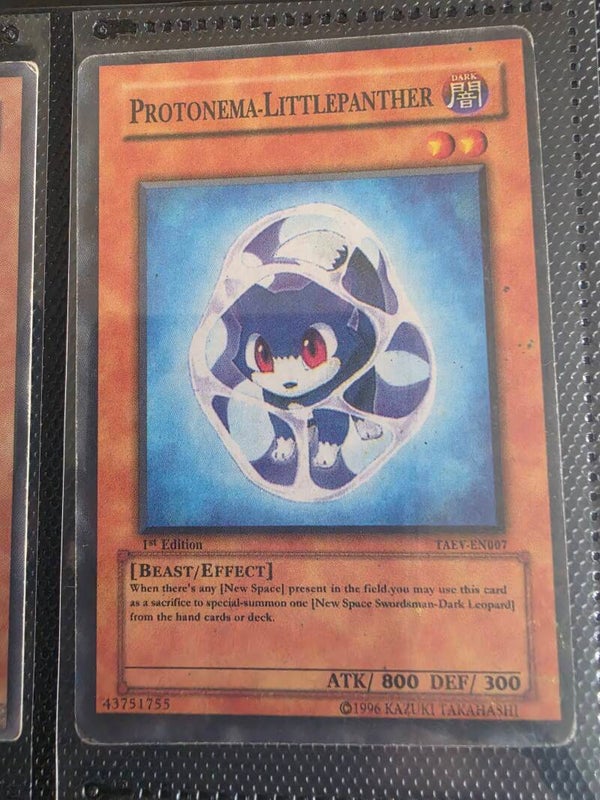 PROTONEMA-LITTLEPANTHER