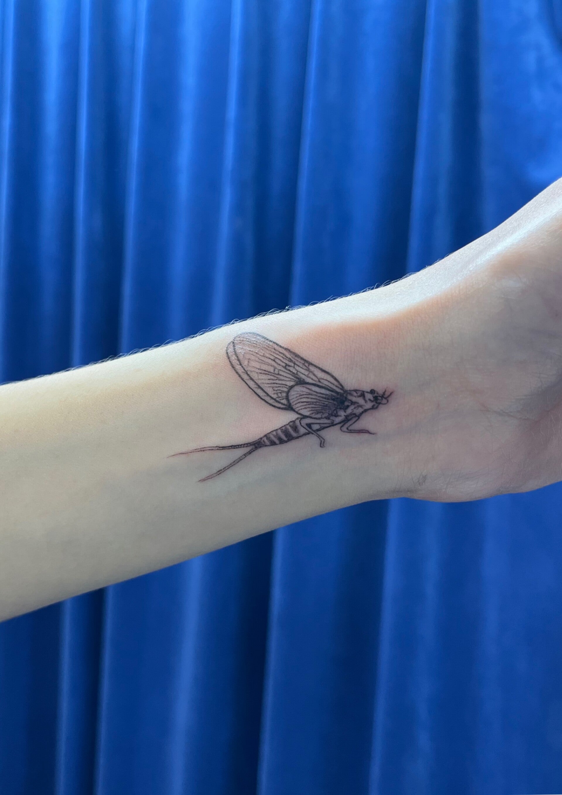 Fine line fly tattoo Elmar tattoo